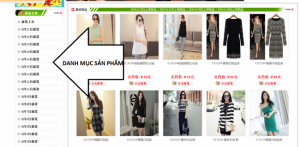 website