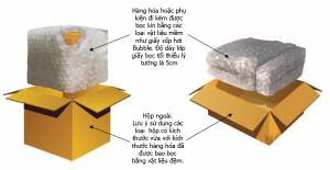 dong goi