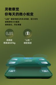 Nhanshiphang_can_dien_tu_nho_gon_thong_minh_5